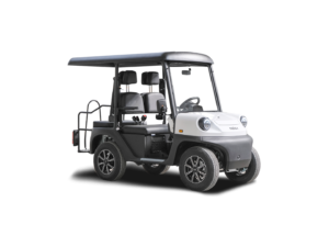 Melex N.30 P4 Passeggeri