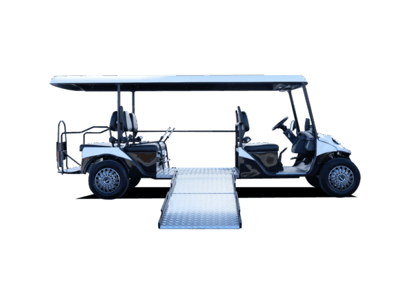 Melex 329 Trasporto disabili - immagine 2