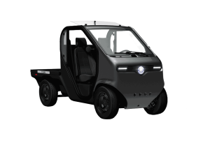 Tazzari Zeromax Cubo Naked
