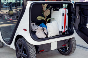 Eco-chic