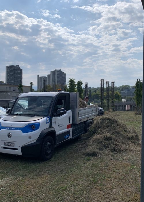 G6 veicolo commerciale trasporto carichi
