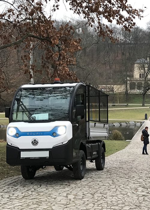 Goupil G4 cassone 2