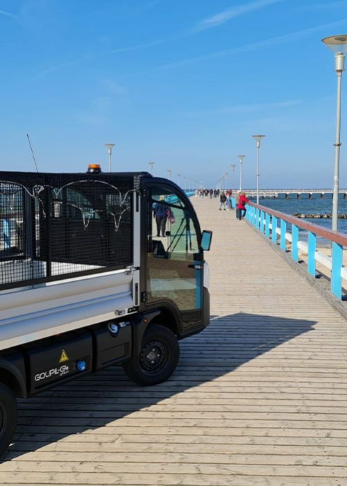 Goupil G4 cassone mare